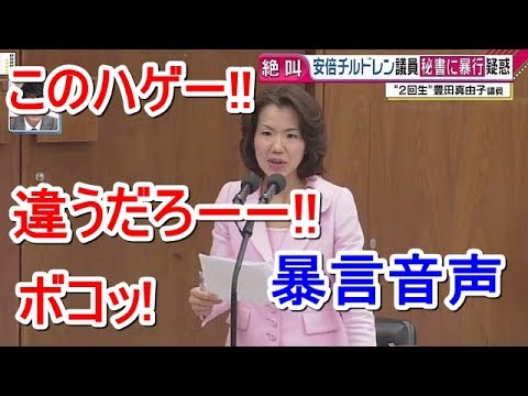 豊田真由子議員の暴言の音声と暴行ニュース！原因も明らかに！ - YouTube