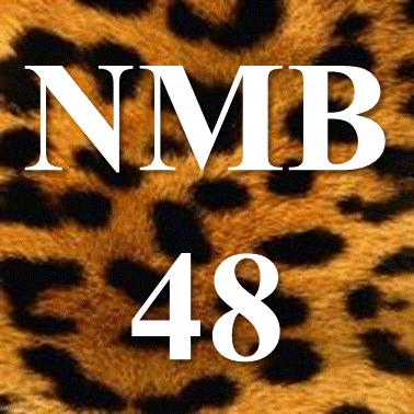 NMB48まとめ