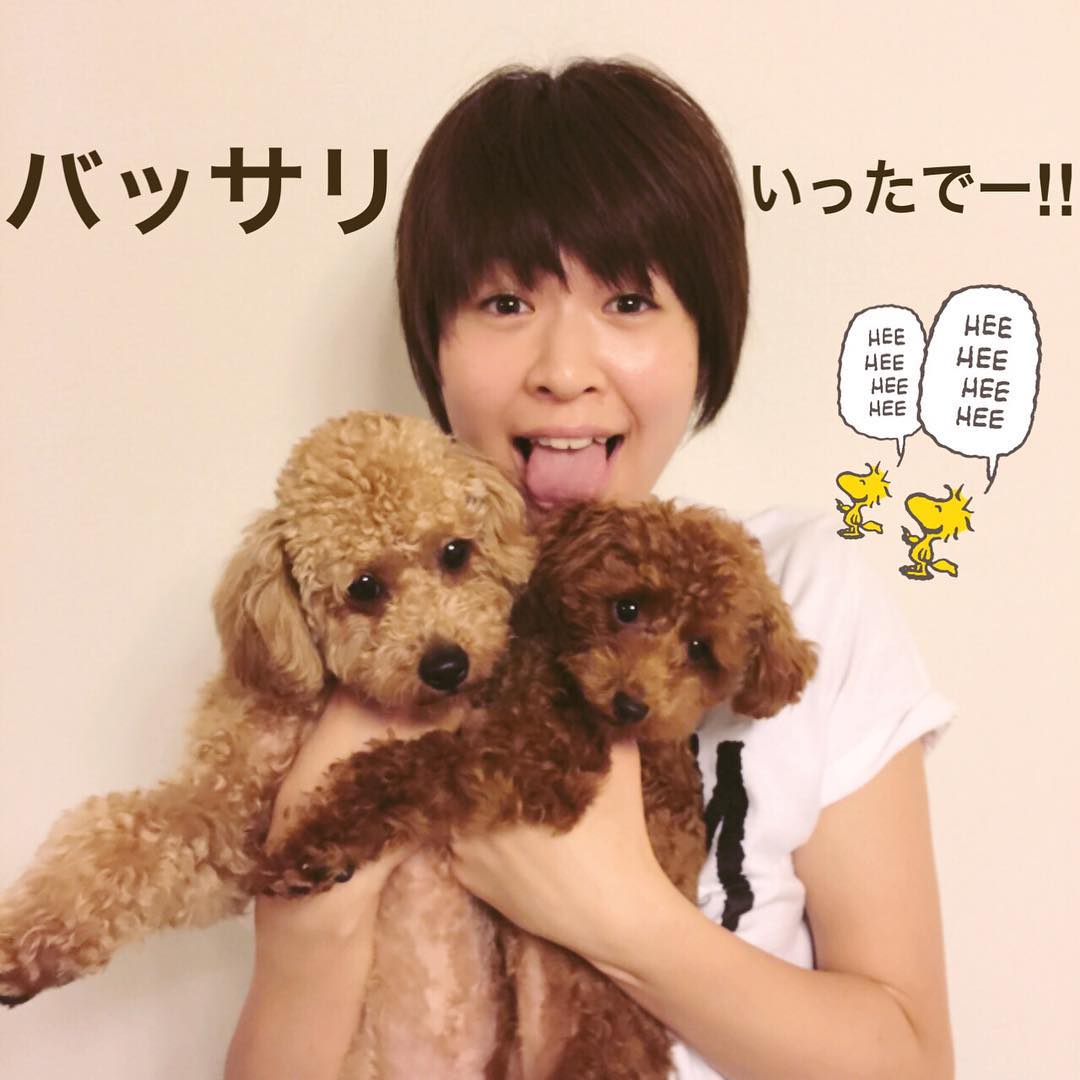 木村沙織がかわいいだけ？