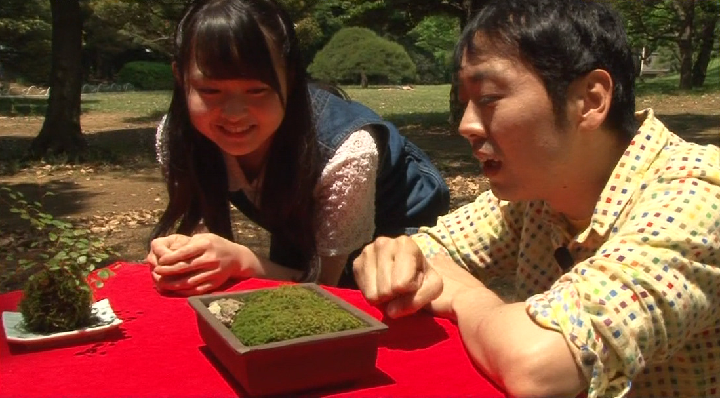 一緒に苔鑑賞