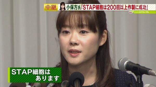 記者会見で明言「STAP細胞はあります」が誕生