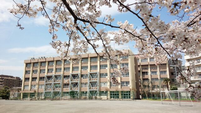 【学歴】平野ノラは「葛飾区立金町中学校」出身