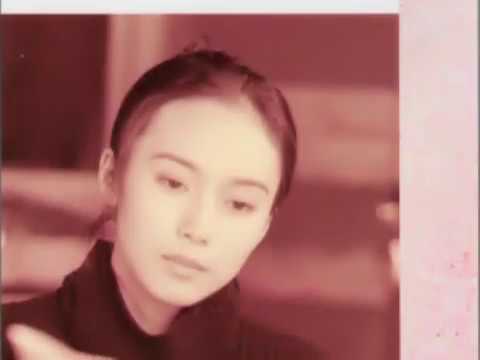 MIKI NAKATANI - ANATA GA WAKARANAI - YouTube