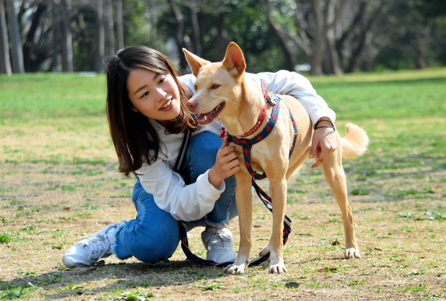 保護犬についても積極的に発信している桑原みずき